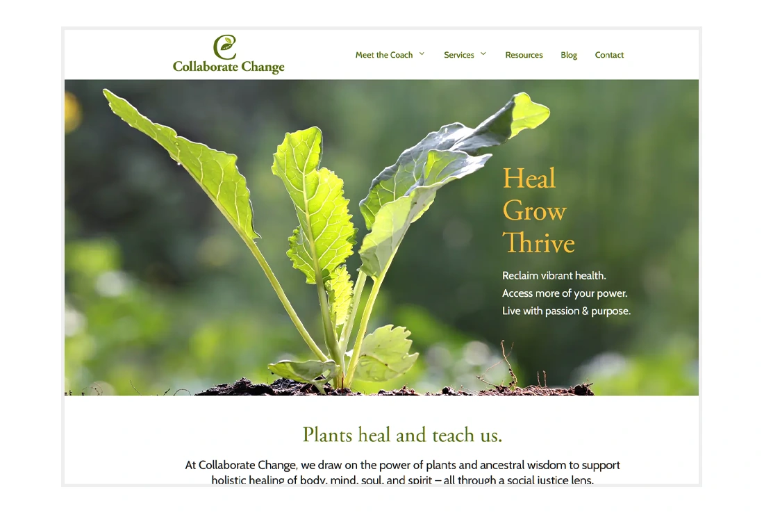 Custom Website Design for Collaborate Change - Homepage view