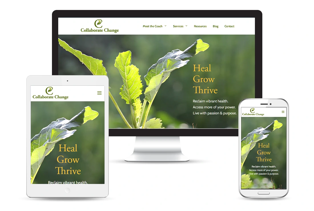 Custom Website Design and WordPress Theme for Collaborate Change - desktop tablet and mobile views